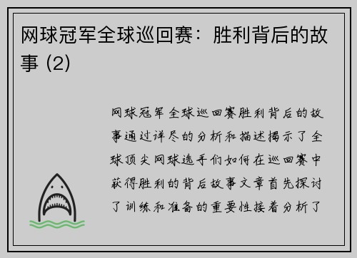 网球冠军全球巡回赛：胜利背后的故事 (2)